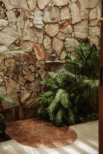 a stone wall with a shower in a bathroom at DreamTime in Hikkaduwa
