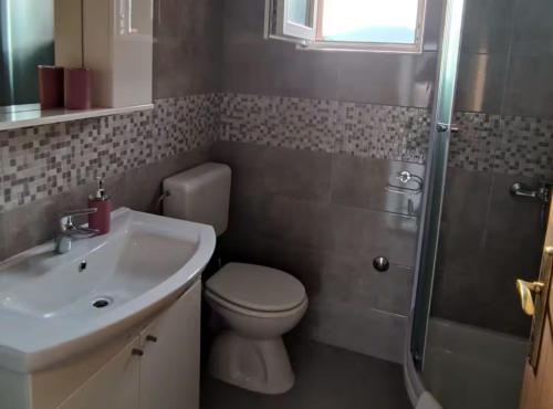 a bathroom with a toilet and a sink and a shower at Apartment Serenity in Rogotin