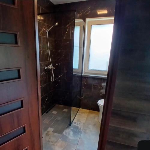 a bathroom with a walk in shower next to a toilet at Celmu Nams in Ventspils