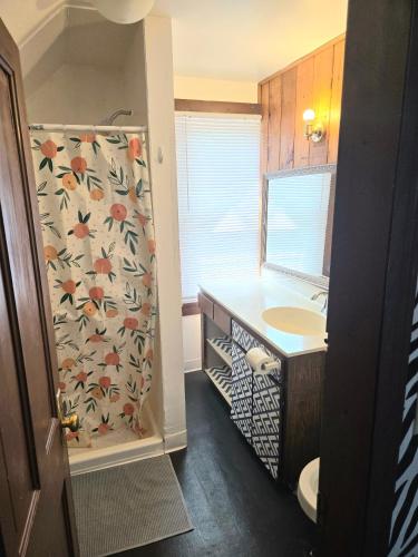 a bathroom with a shower with a sink and a toilet at Ana Maria del Azul in Minneapolis