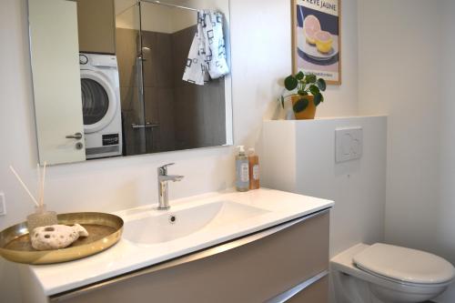 a bathroom with a sink and a washing machine at Viking Surf & Stay in Klitmøller