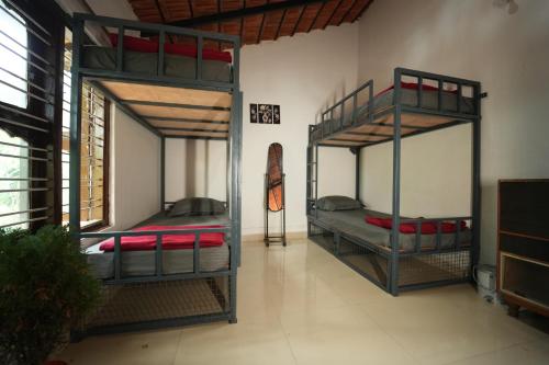 a room with two bunk beds in a room at Secret Ashram Coorg in Kushālnagar