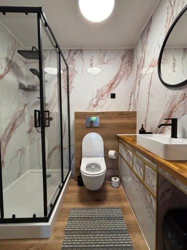 a bathroom with a toilet and a shower and a sink at Apartamenty Polańczyk in Polańczyk