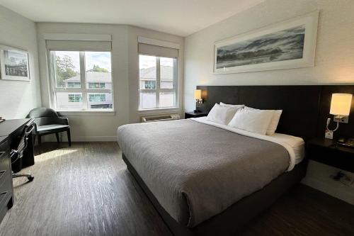 ein Schlafzimmer mit Bett, Schreibtisch und Fenstern in der Unterkunft Quality Inn in Nanaimo