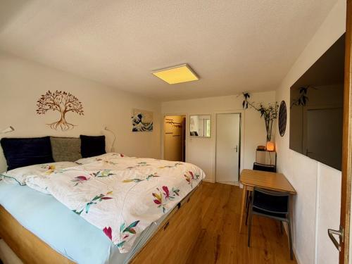 Studio Serenity, 4 min walk to center!