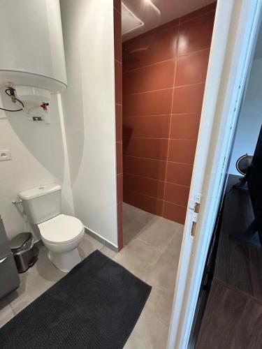 a bathroom with a toilet and a shower at Piscine chauffée partagée avec terrasse privative in Joué-lès-Tours