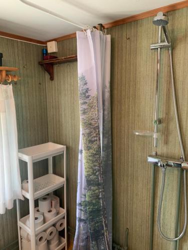 a shower in a bathroom with a shower curtain at Stuga med havsutsikt in Strömstad