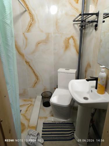 a bathroom with a toilet and a sink at Kolsay Aisha in Saty