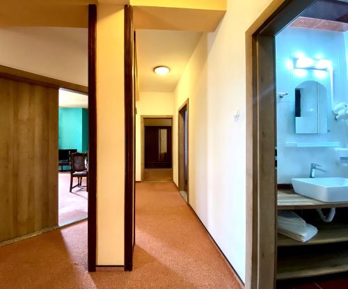 a bathroom with a sink and a mirror at Vila Predeal Holidays in Predeal