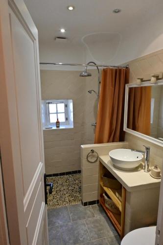 a bathroom with a sink and a toilet and a shower at L'Oustal des Rameaux in Brissac