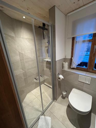 a bathroom with a shower and a toilet at Appart Alte Post in Partenen