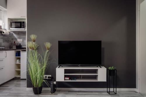 a living room with a tv on a white entertainment center at Apartment Nr 11 in Bremerhaven
