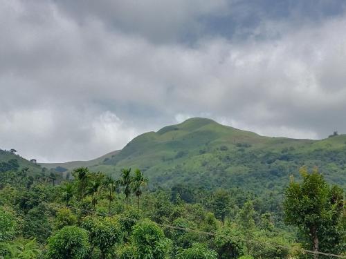 auliculiculiculiculiculiculiculiculiculiculiculiculiculiculic at Ragikana homestsy in Kalasa