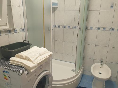 a bathroom with a washing machine and a shower at Apartman Mira Sabunike 1 in Privlaka