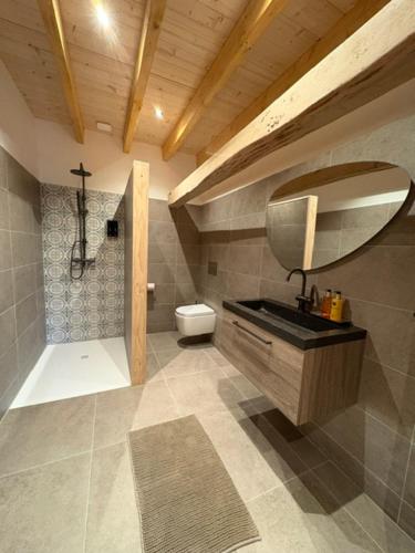 a bathroom with a shower and a sink and a toilet at Vue sur la colline La-Roche in Bouzais
