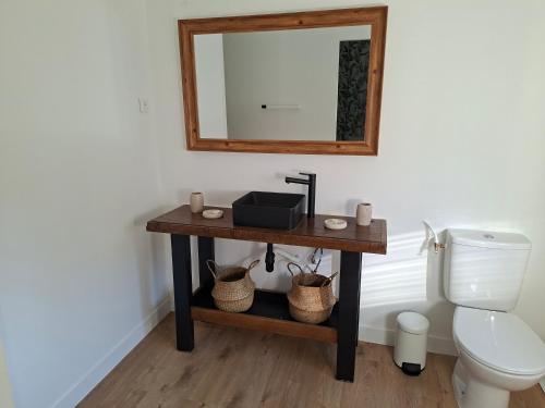 a bathroom with a vanity with a mirror and a toilet at Logis Hotel Restaurant Les Platanes in Aramon