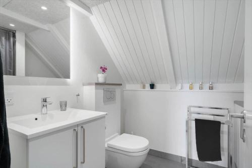 a white bathroom with a toilet and a sink at 299-Ringkobing-Havklitvej-24 in Klegod