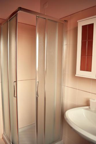 a glass shower in a bathroom with a sink at Residence La Pineta in Serina