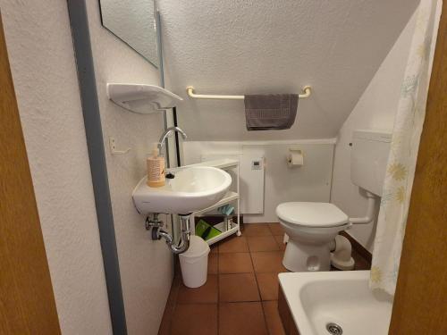 a small bathroom with a sink and a toilet at Ferienwohnung zum Zander - Sonniger Weitblick übers Feld in Wester-Ohrstedt