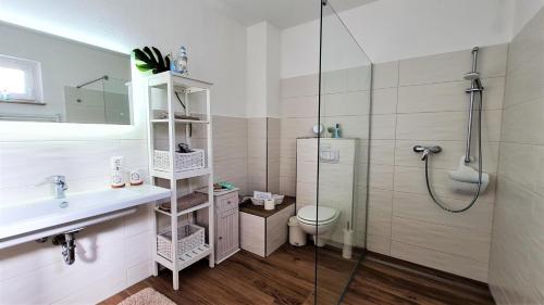 a bathroom with a shower and a sink and a toilet at Ferienwohnung Seeblick in Klein Upahl