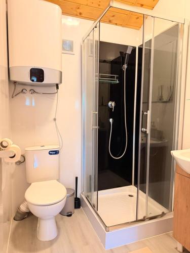 a bathroom with a shower and a toilet at Domki nad Firlejem in Firlej