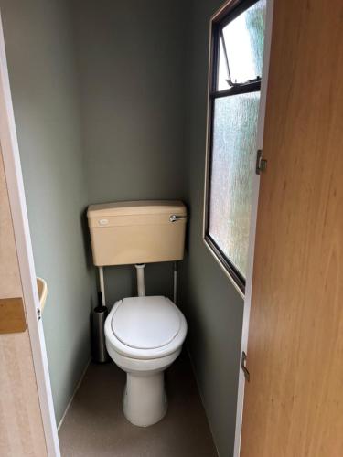 a toilet in a small bathroom with a window at Zeester 91 in Scherpenisse