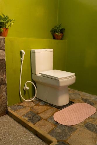 a bathroom with a toilet in a green wall at Rayonaz Resort in Dambulla