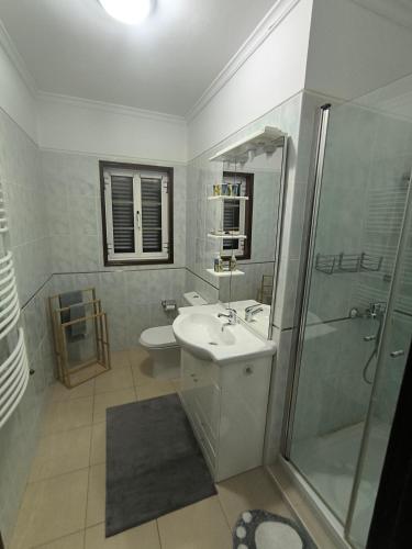 a bathroom with a sink and a shower and a toilet at Centro da cidade Amarante 168 in Amarante