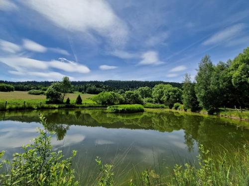 a view of a lake with trees in the background at Gościniec Pięciu Stawów in Ustrzyki Dolne