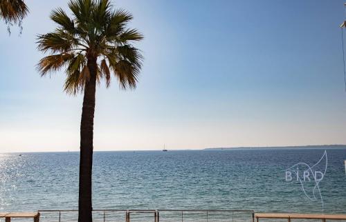 Large studio on the seafront photo 14