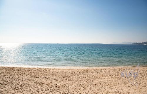 Large studio on the seafront photo 13