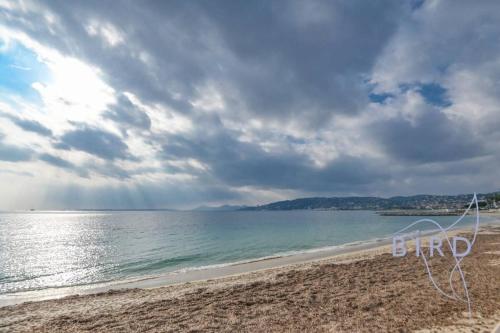 Large studio on the seafront photo 22