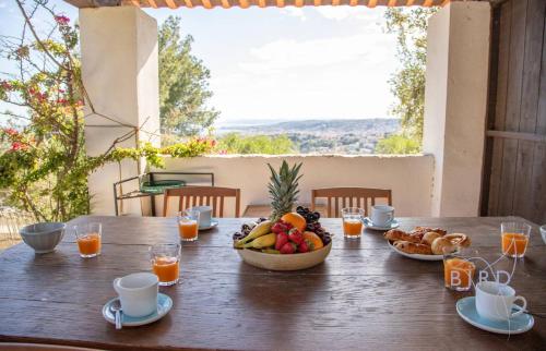 Villa Bonnard in Nice Sea and city View & Pool