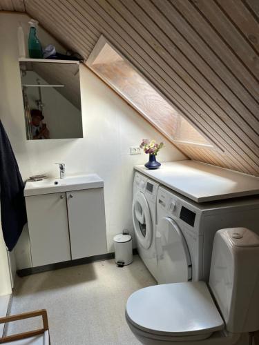 a bathroom with a washing machine and a sink at Friisenborg in Jelling