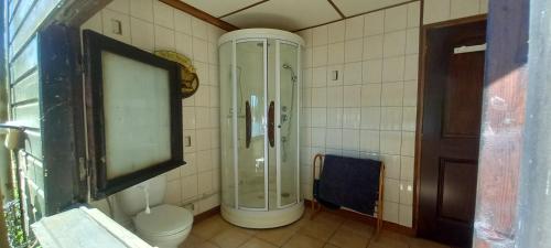 a bathroom with a shower and a toilet at Summers Breeze in Nantheuil