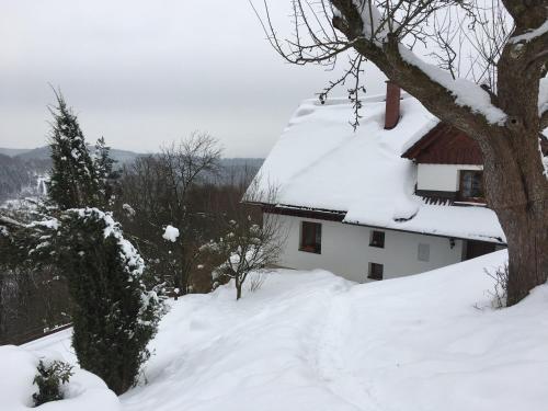 a house covered in snow next to a tree at Chalupa Záborčí in Malá Skála