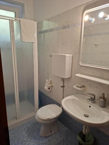 a bathroom with a shower and a toilet and a sink at Roda de Vael in Moena