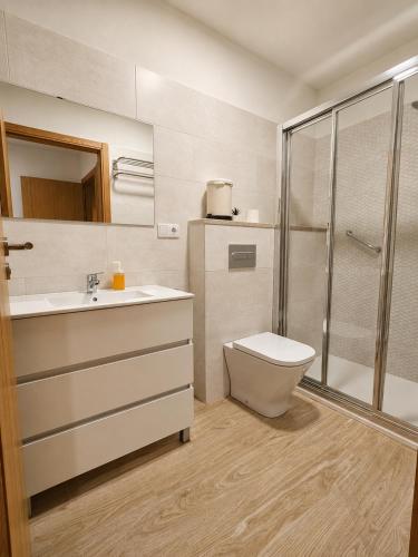 a bathroom with a toilet and a sink and a shower at O Rincón de Esther in Vedra