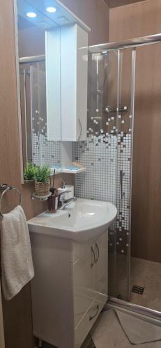 a bathroom with a sink and a shower at Apartmani Furesti1 in Donji Stoliv