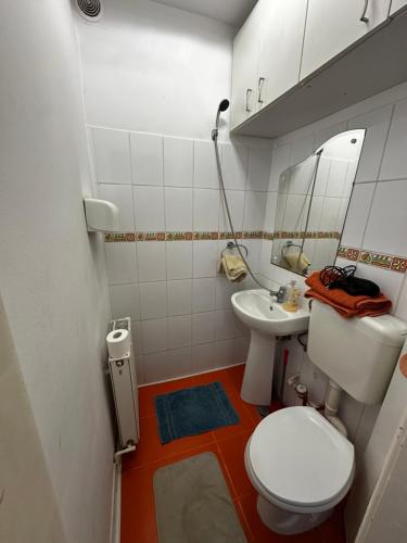 a small bathroom with a toilet and a sink at LUMON Ultra Central Apartman in Târgu-Mureş