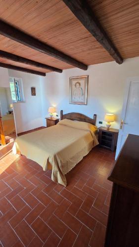 a bedroom with a large bed in a room at Villa Matilda ad Ansedonia in Orbetello