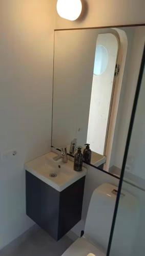 a bathroom with a sink and a mirror and a toilet at Unique floating retreat Sleeps 4 in Sölvesborg