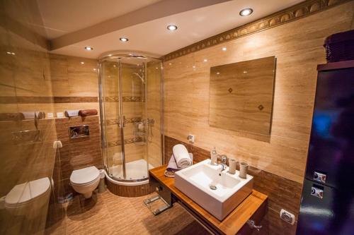 een badkamer met een wastafel, een douche en een toilet bij Dom Bory Tucholskie in Gostycyn