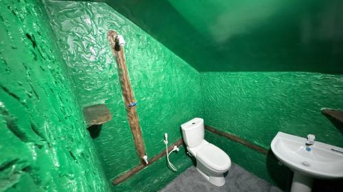 a green bathroom with a toilet and a sink at Wonderful Hostel Trincomalee in Trincomalee