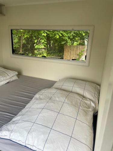 a bed in a small room with a window at TinyHouse am Stadthafen in Hennigsdorf