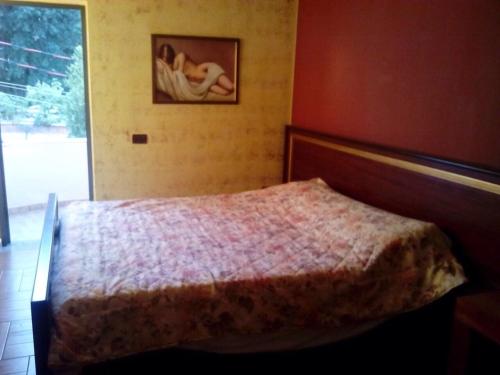 Billede fra billedgalleriet på Hotel Deja i Tirana