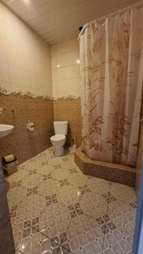 a bathroom with a toilet and a shower curtain at Shen toon guesthouse in Shnogh
