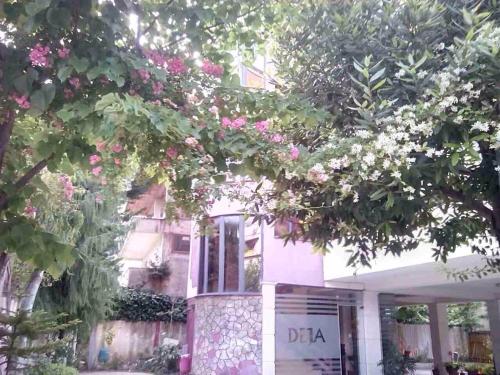 Billede fra billedgalleriet på Hotel Deja i Tirana