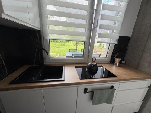eine Küchentheke mit Spüle und Fenster in der Unterkunft Guben Wohnungen Sunny 2 in Guben