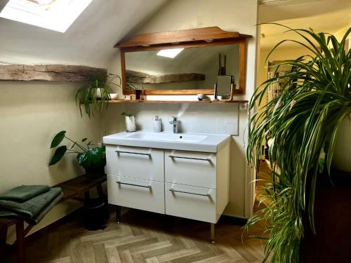 a bathroom with a sink and a mirror at La chambre de la grenouille in Giverny